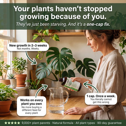 PlantBless